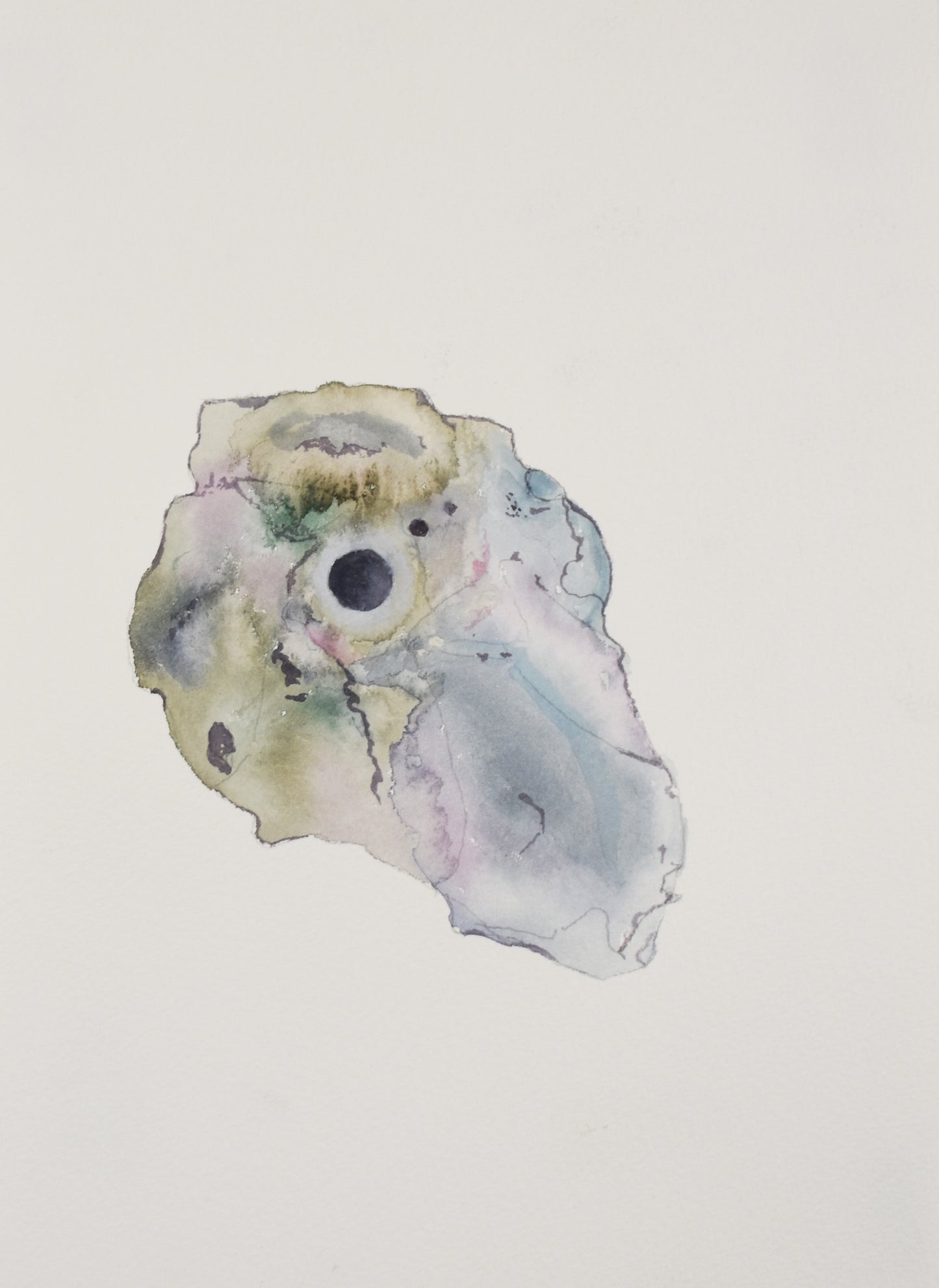 Shell fragment