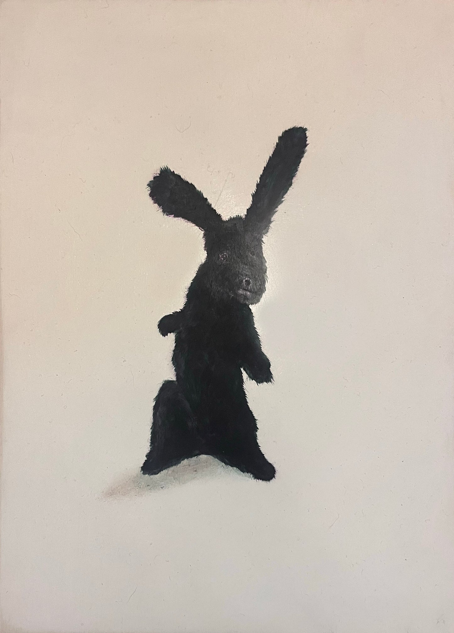 Rabbit