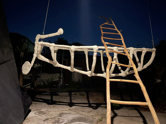 Boat of bones