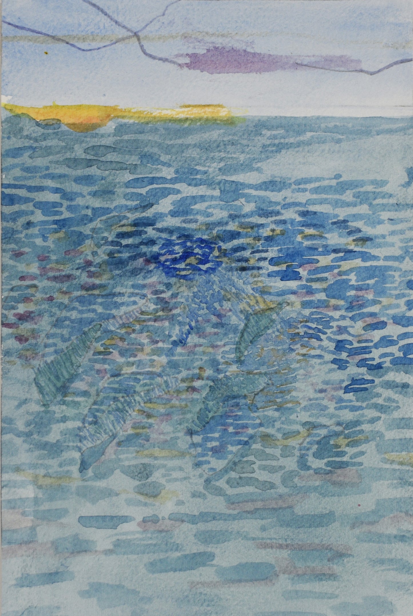 Ripples