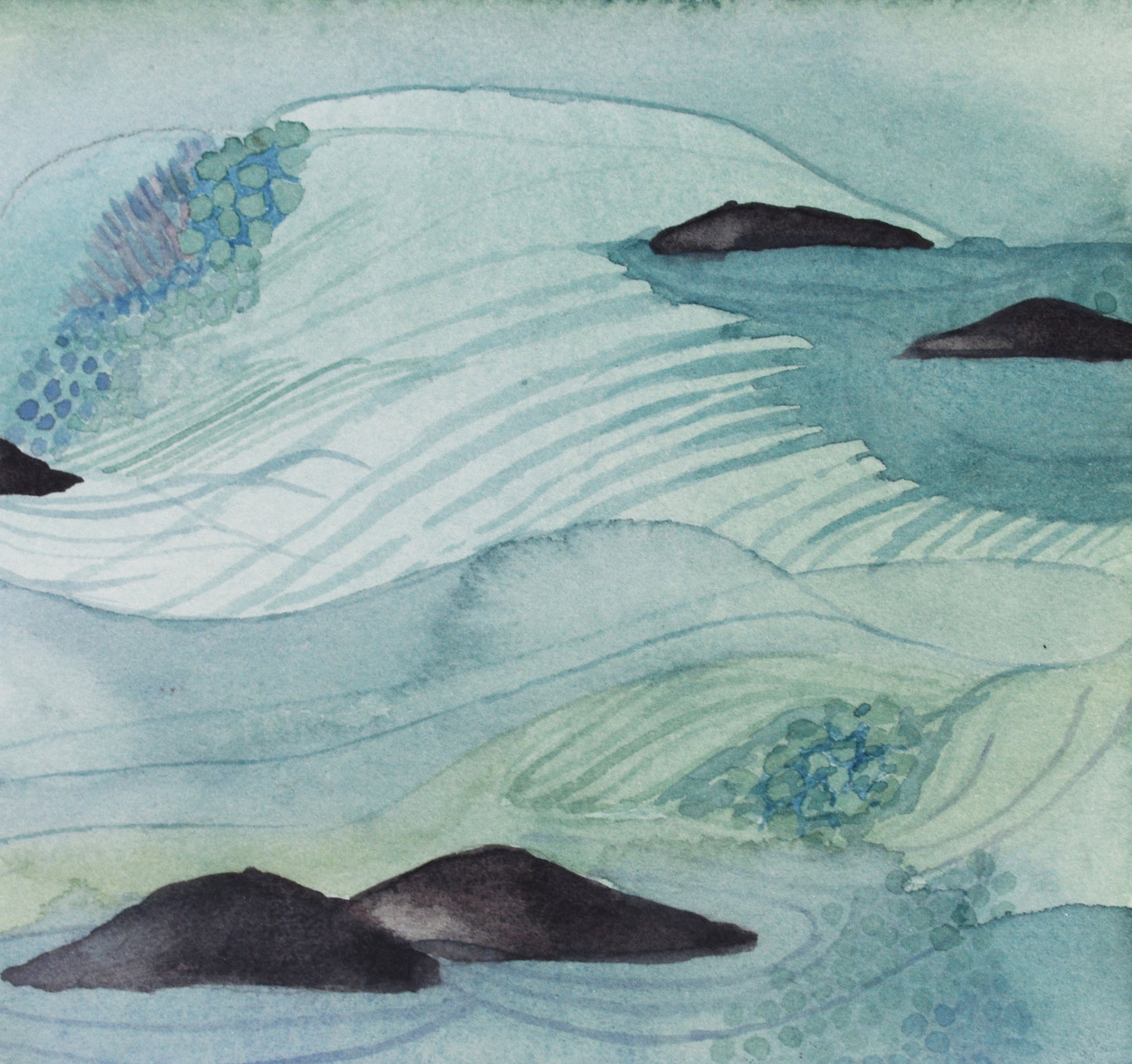 Shallows
