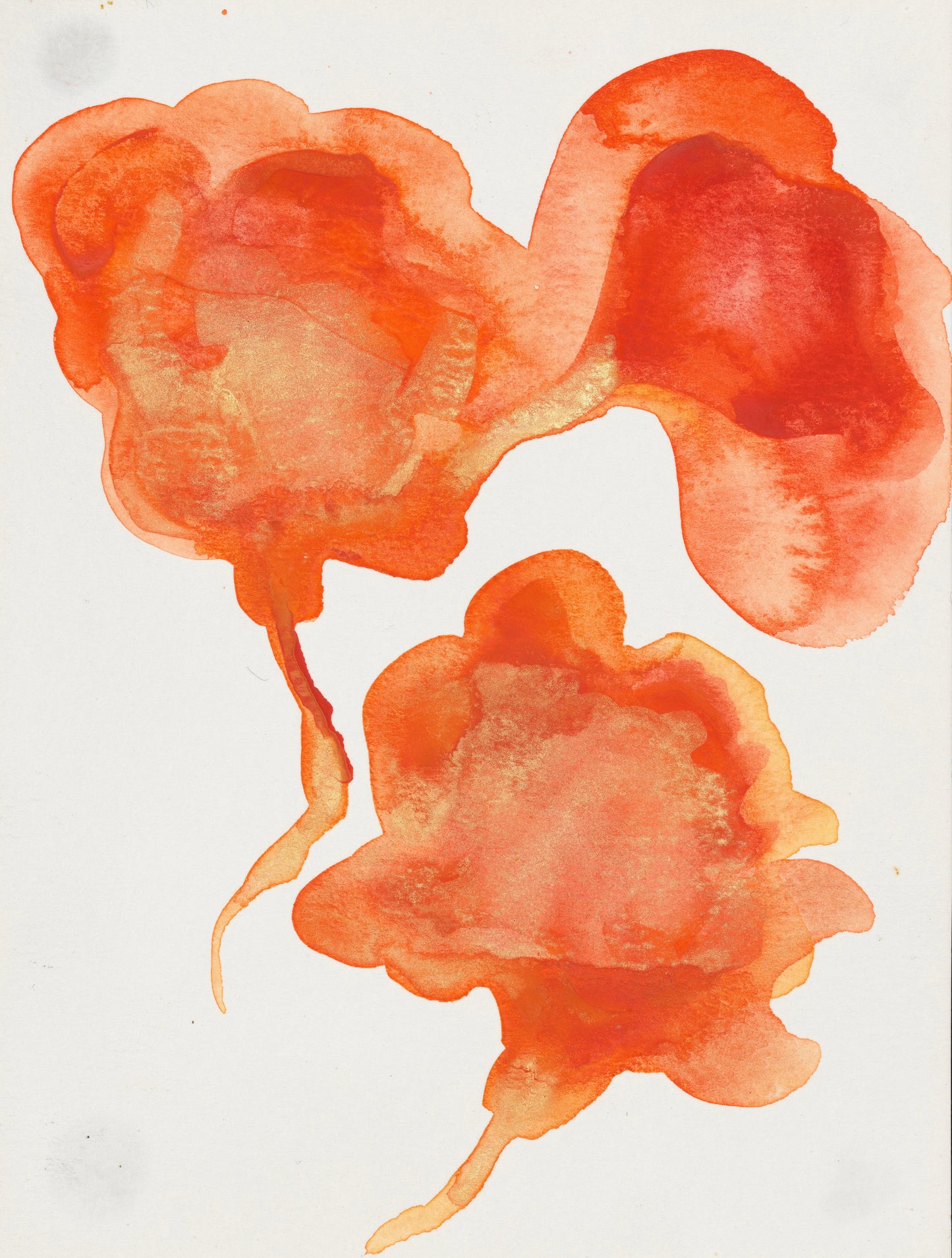 Untitled 1
