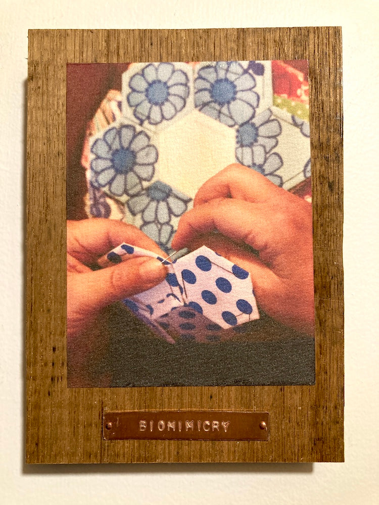 Biomimicry