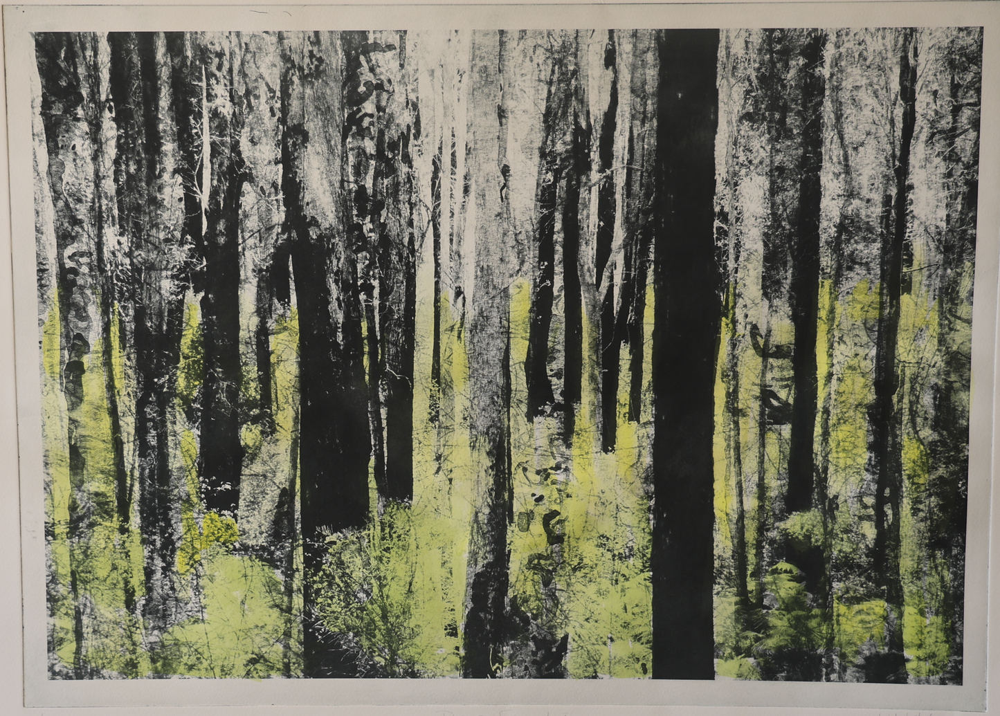 Deep Forest 1
