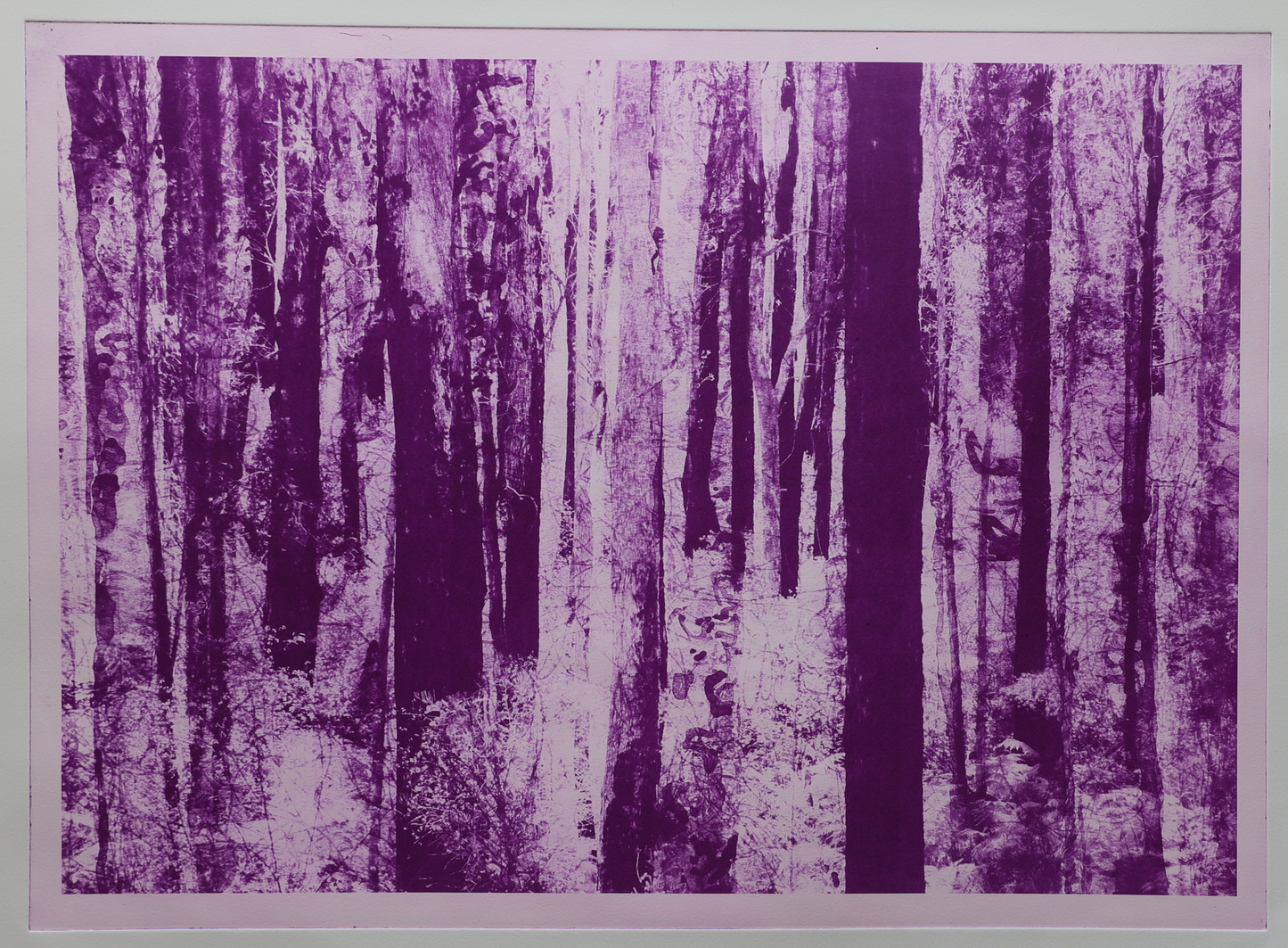 Deep Forest (Magenta)