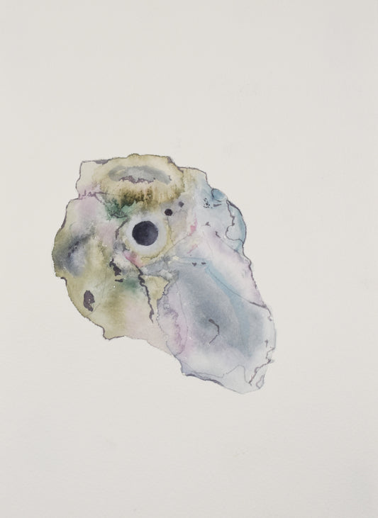 Shell fragment