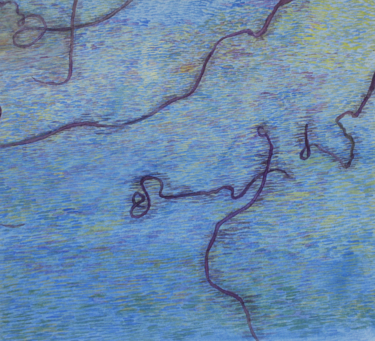 Moon snail trails