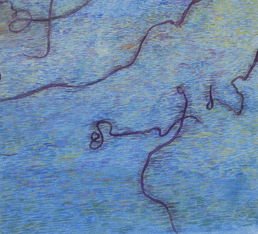 Moon snail trails
