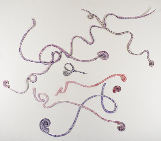 Moon snail trails at dusk