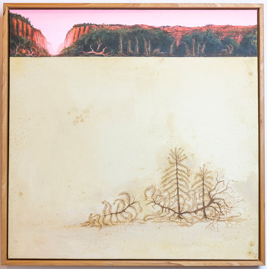 Sunset: Discovery of the Great Wollemi Pine