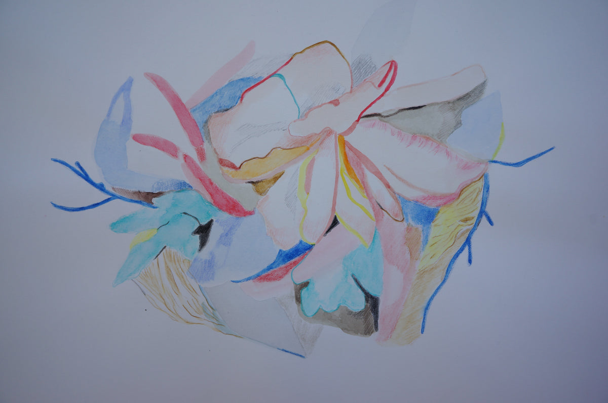 Antler Bloom