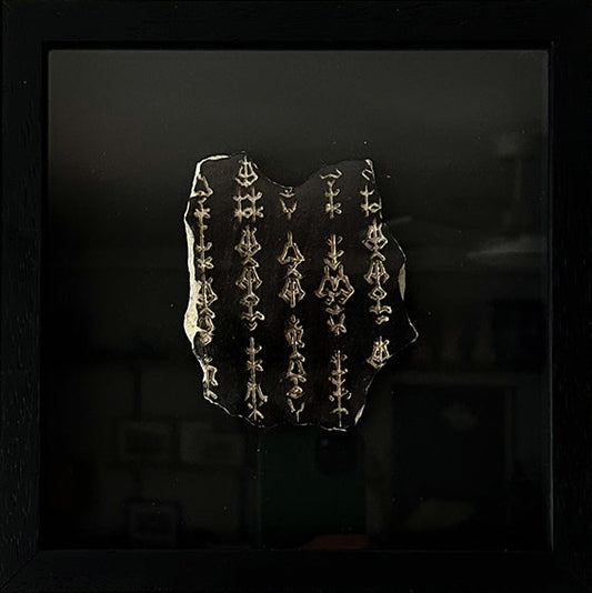 Future Relic: Edie