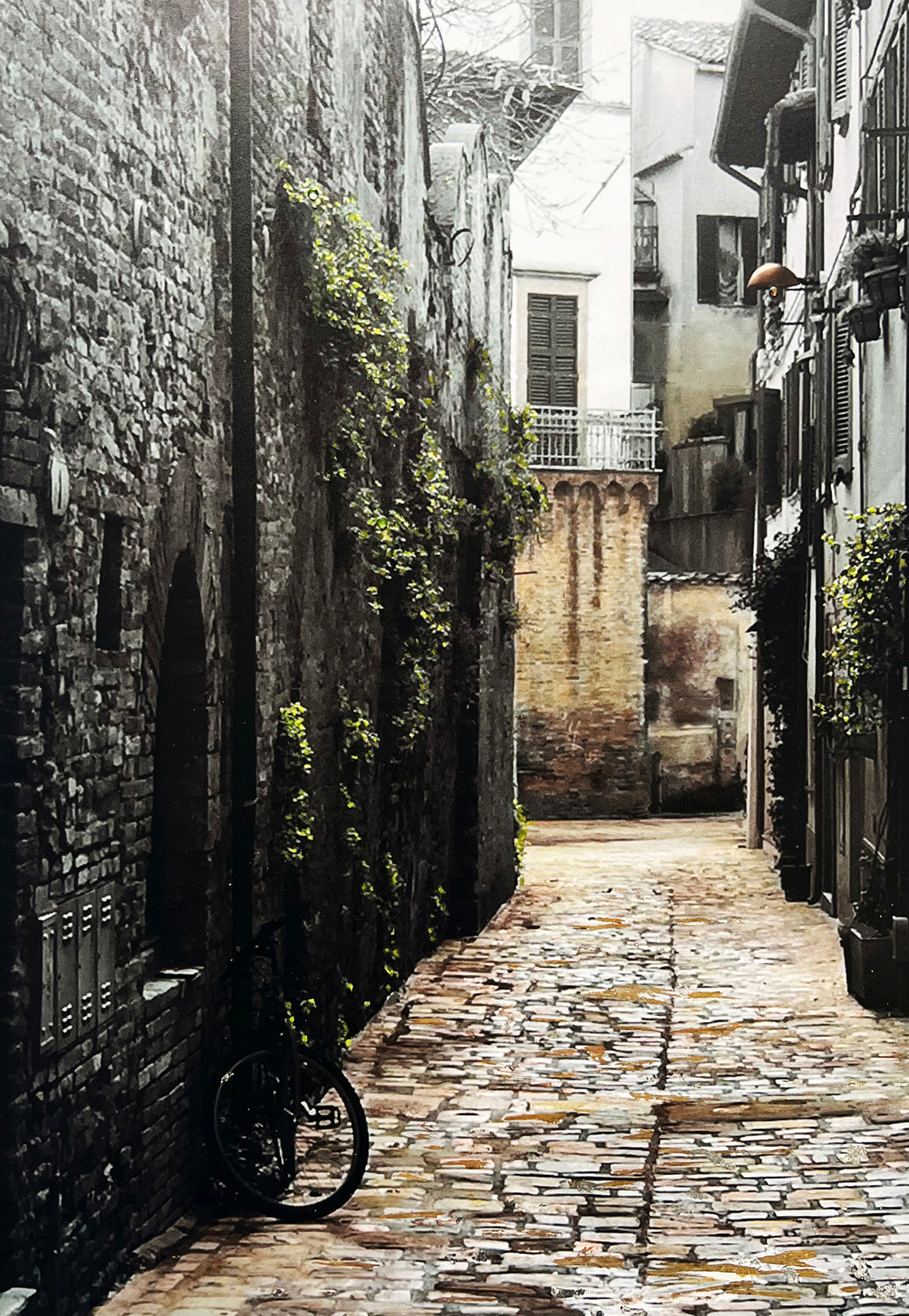 Bicycle Umbria