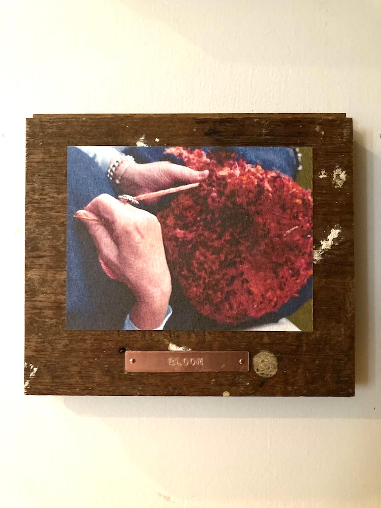 Bloom