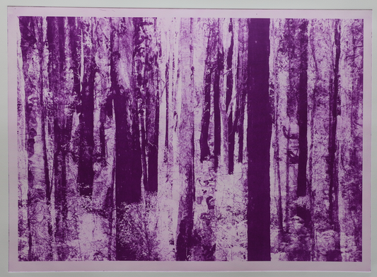 Deep Forest (Magenta)