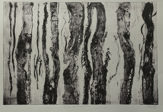 Deep Forest Sentinels