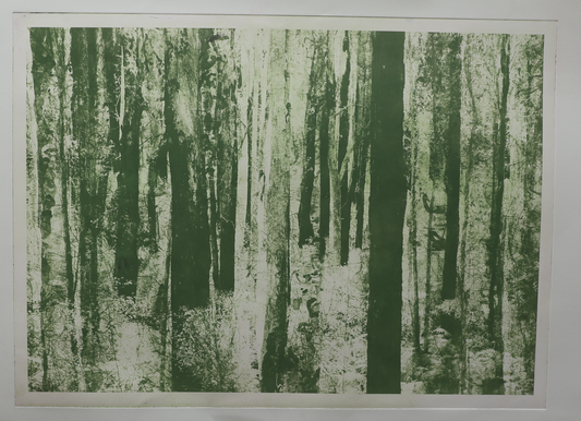 Deep Forest (Green)