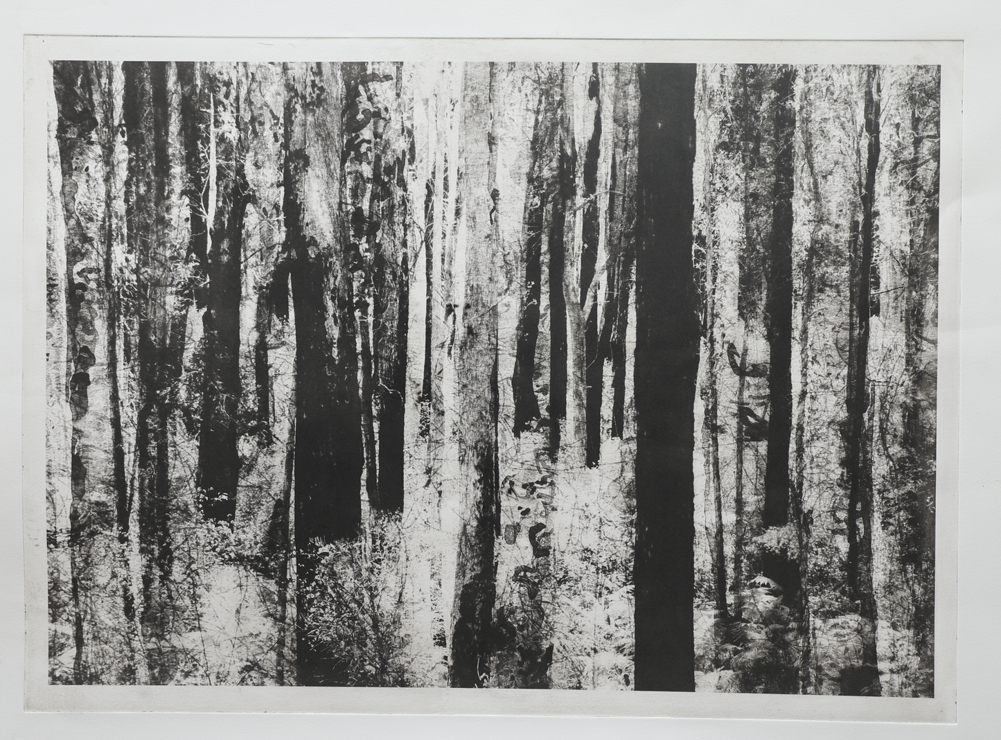 Deep Forest sepia/black