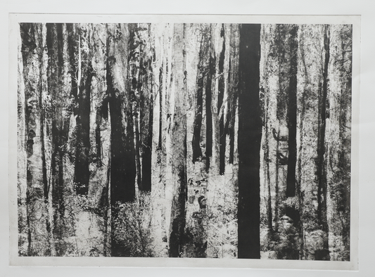 Deep Forest sepia/black