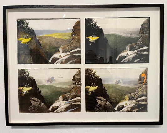 Four moments between emergence and loss