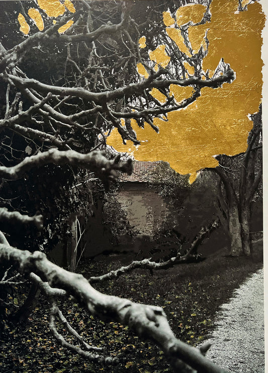 Golden Dreams