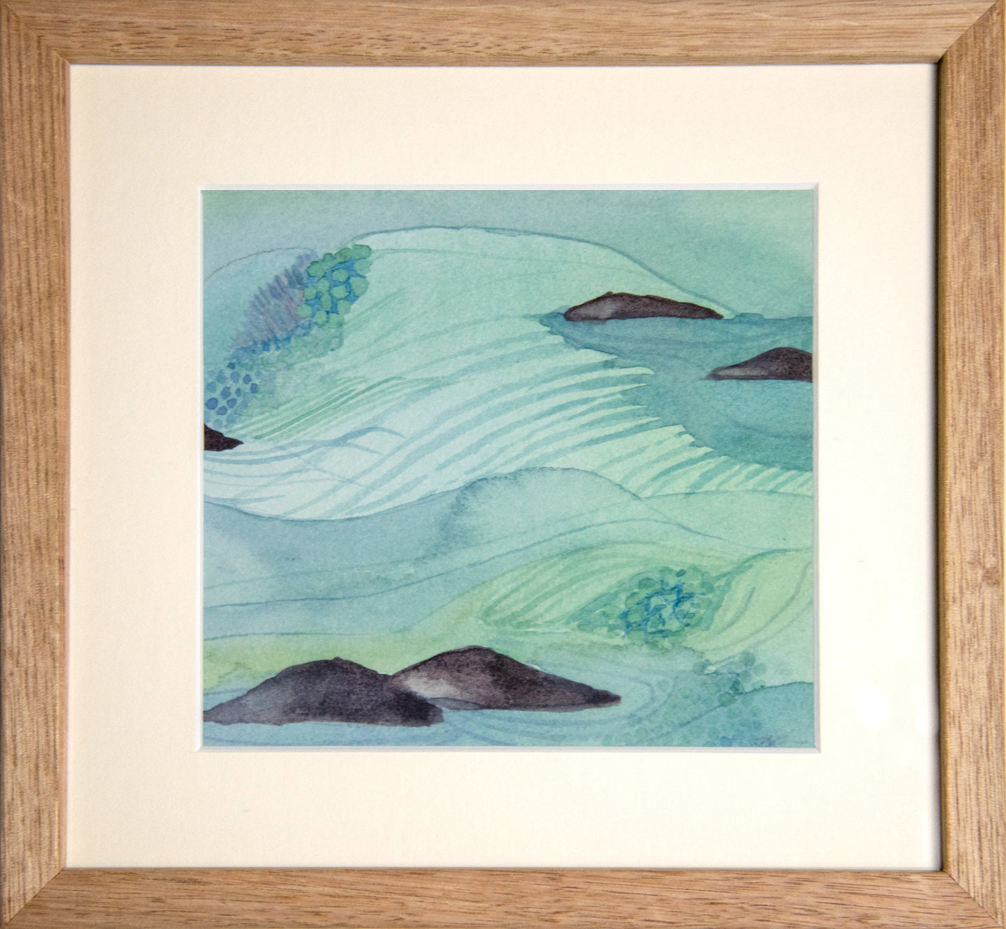 Shallows