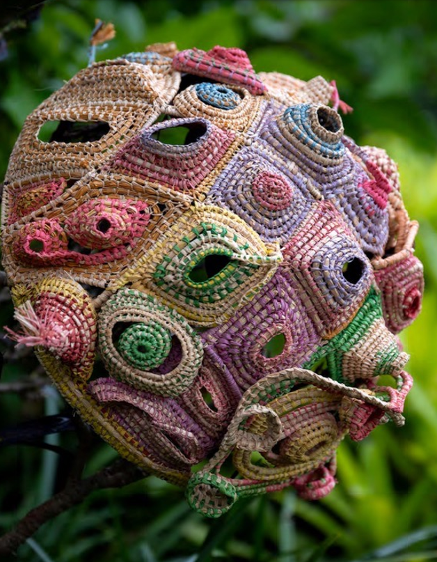 Barnacles