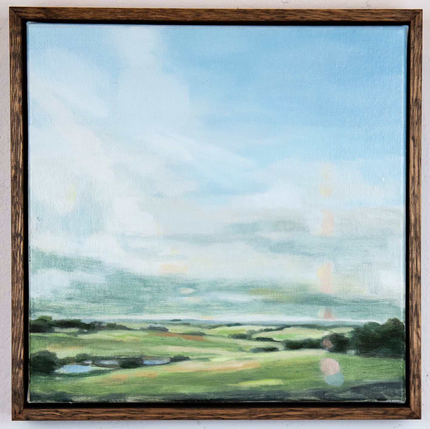 C152 Dean's Marsh Winter