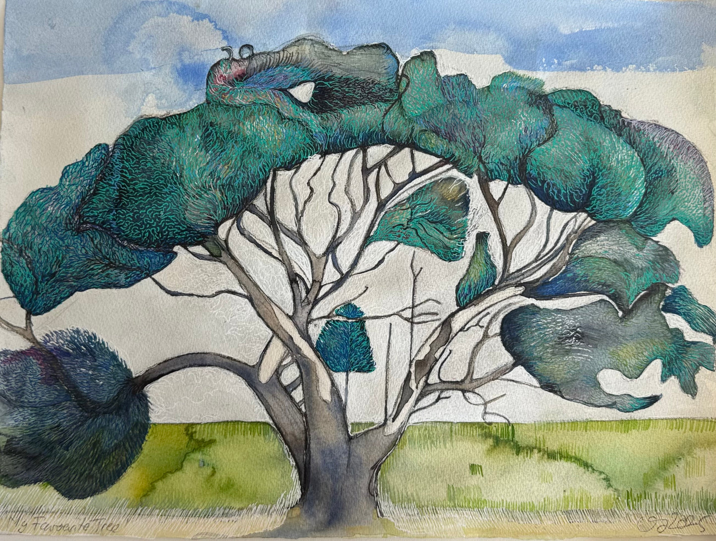 My Favourite Tree