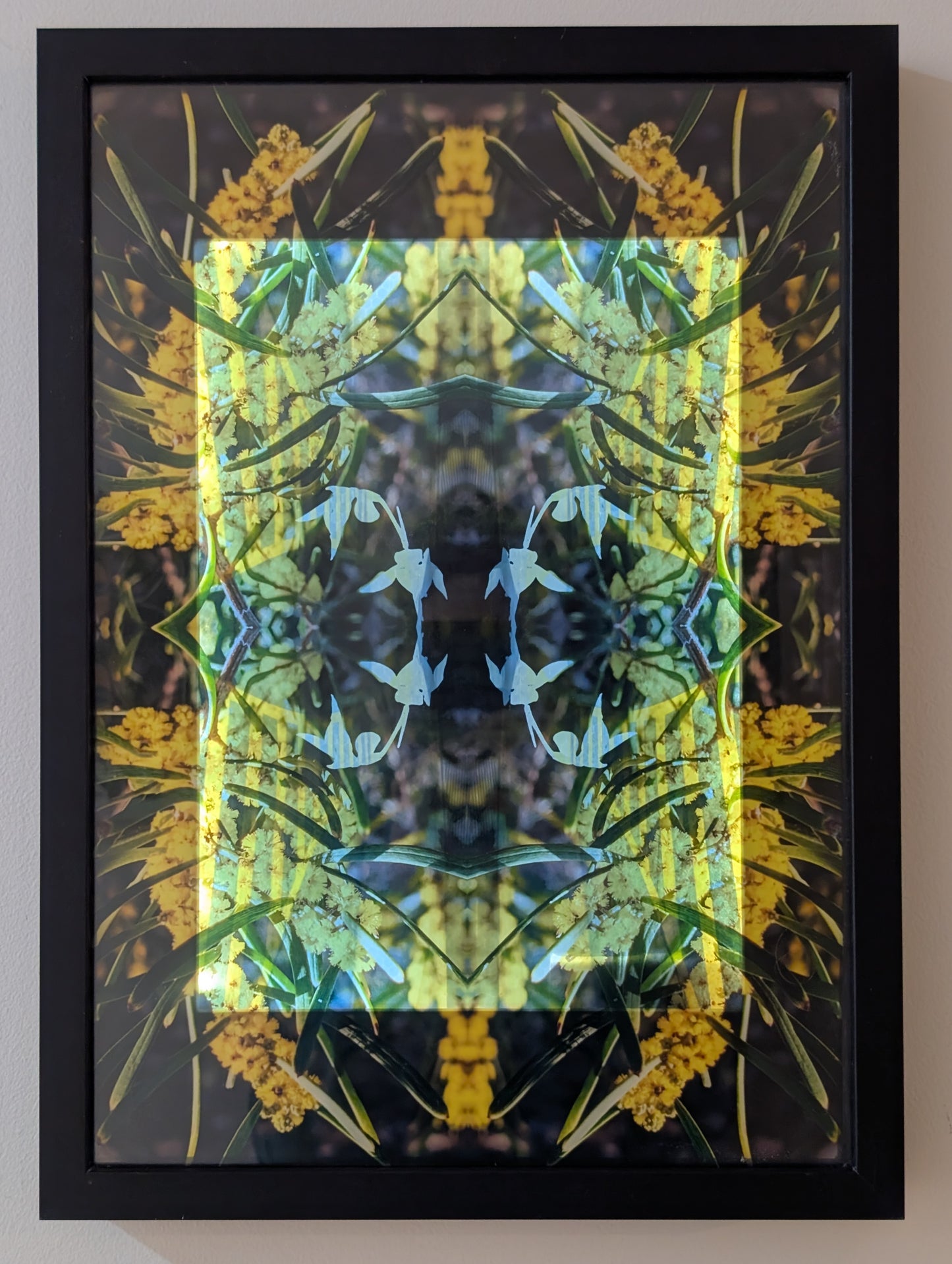 Urban Botanica