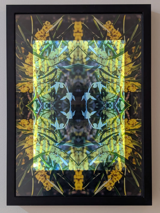 Urban Botanica