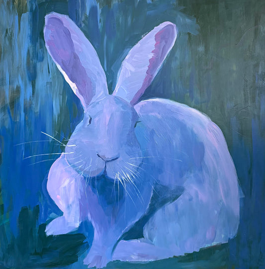 Ruby the Rabbit