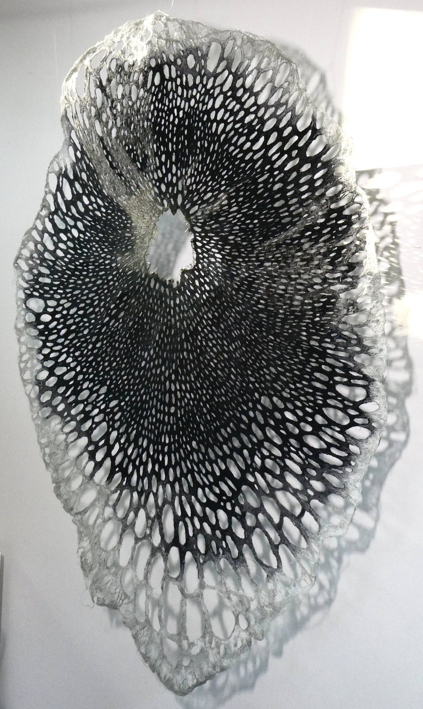 Fungiform; cross-section