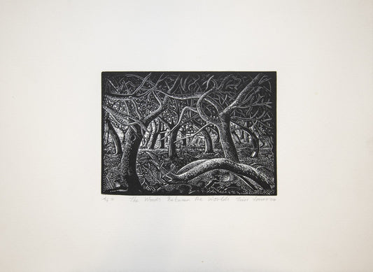 The Woods Between the Worlds (A/P I)