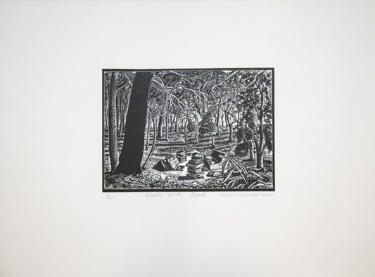 Woods with Books (7/35)
