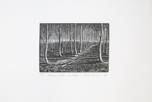 Woods with Ladders (A/P)
