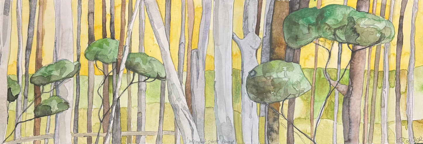 Wombat State Forest